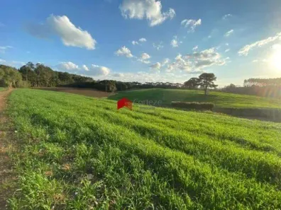 Fazenda/Sítio à venda, 114345m² no Colônia Murici, São José dos Pinhais