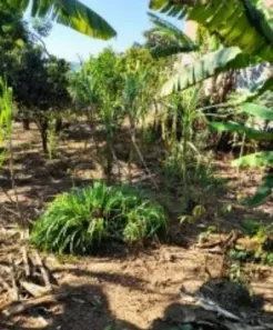 Lote/Terreno à venda, 500m² no Jardim Diva (Fazendinha), Santana de Parnaíba