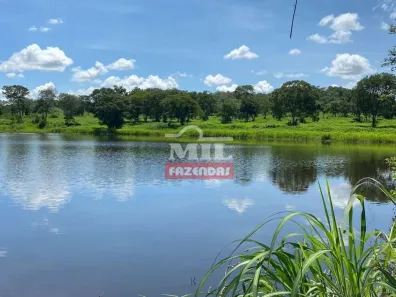 Fazenda/Sítio à venda, 500m² no , Jaú do Tocantins