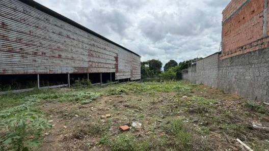Galpão/Depósito/Armazém com 5 Quartos à venda, 5000m² no São José Operário, Manaus
