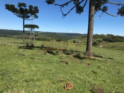 Lote/Terreno à venda, 110000m² no Sagrada Família, Caxias do Sul