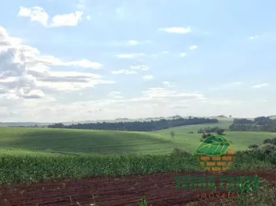 Fazenda/Sítio com 1 Quarto à venda, 619500m² no Vila Ipiranga, Londrina