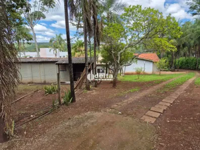 Fazenda/Sítio com 5 Quartos à venda, 500m² no Centro, Indianópolis