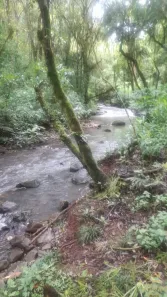 Fazenda/Sítio com 2 Quartos à venda, 20m² no , Nova Petrópolis