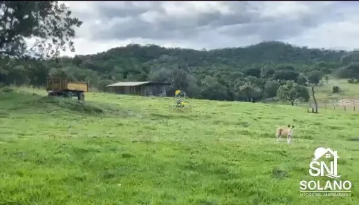 Fazenda/Sítio com 3 Quartos à venda, 97m² no , Faina