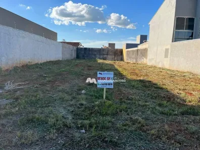 Lote/Terreno à venda, 444m² no Parque São Miguel, São José do Rio Preto