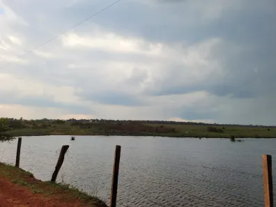 Fazenda/Sítio com 5 Quartos à venda, 11376m² no , São Félix do Xingu