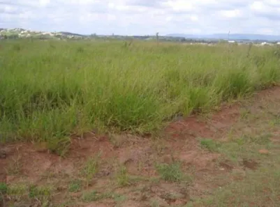 Lote/Terreno à venda, 1050m² no Cachoeira, Vinhedo