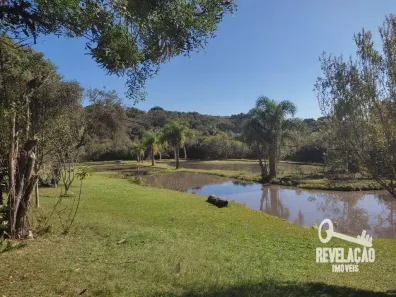 Fazenda/Sítio com 3 Quartos à venda, 13230m² no Cachoeira, São José dos Pinhais