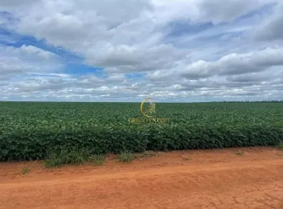 Fazenda/Sítio com 5 Quartos à venda, 89443200m² no , Nova Ubiratã