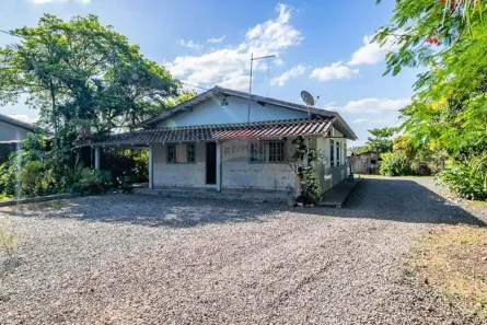 Fazenda/Sítio com 3 Quartos à venda, 5654m² no Estrada das Areias, Indaial
