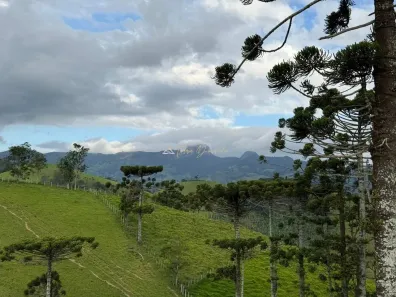 Lote/Terreno à venda, 78000m² no , São Bento do Sapucaí