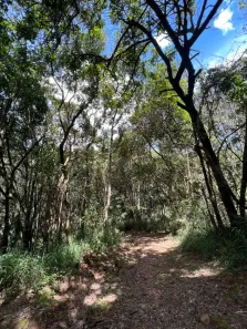 Lote/Terreno à venda, 1260m² no Aconchego da Serra, Itabirito