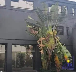 Prédio Comercial para alugar, 700m² no Maranhão, São Paulo