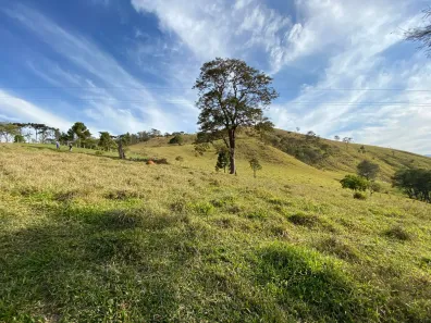 Fazenda/Sítio à venda, 5000m² no , Santo Antônio do Pinhal