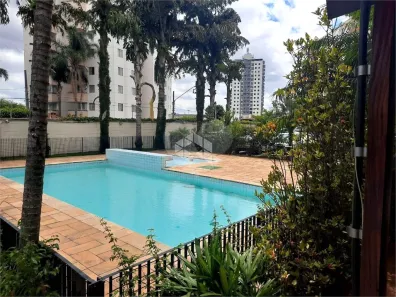 Apartamento com 3 Quartos à venda, 67m² no Vila Matilde, São Paulo
