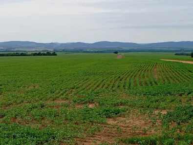 com 3 Quartos à venda, 300m² no , Paranatinga