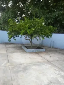 Casa com 3 Quartos à venda, 116m² no Jardim Itatins, Peruíbe