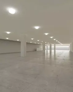 Galpão/Depósito/Armazém para alugar, 513m² no Vila Regente Feijó, São Paulo