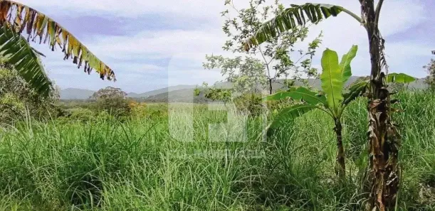 Lote/Terreno à venda, 53360m² no Sambaqui, Florianópolis