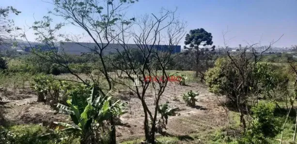 Lote/Terreno à venda, 60000m² no Jardim do Triunfo, Guarulhos