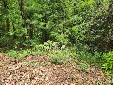 Lote/Terreno à venda, 2757m² no Retiro Do Chale, Brumadinho