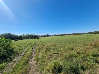 Fazenda/Sítio à venda, 310000m² no Passo Fundo, Guaíba