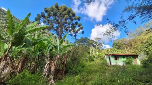 Fazenda/Sítio à venda, 7937m² no , São Bento do Sapucaí
