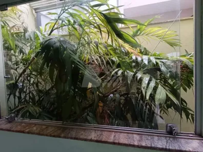 Casa de Condomínio com 4 Quartos à venda, 283m² no Pompéia, Piracicaba