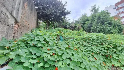 Lote/Terreno à venda, 300m² no Carvoeira, Florianópolis