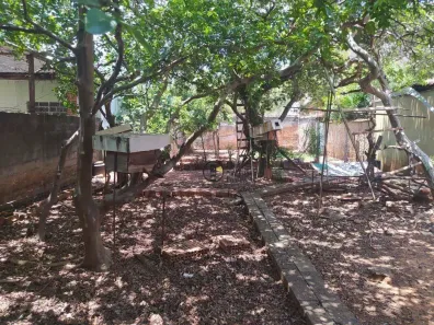 Lote/Terreno à venda, 303m² no Jardim São Paulo, Americana
