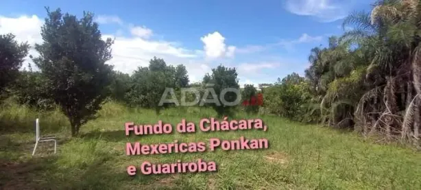Fazenda/Sítio à venda, 11800m² no , Brazabrantes