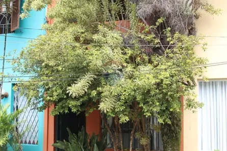  com 2 Quartos para alugar, 114m² no Vila Cordeiro, São Paulo