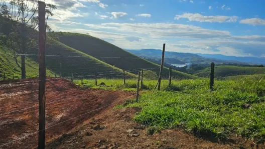 Lote/Terreno à venda, 500m² no Centro, Cotia