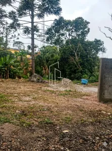 Lote/Terreno à venda, 1300m² no Parque Florestal, São Paulo
