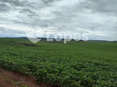 Fazenda/Sítio com 3 Quartos à venda, 4830000m² no Centro, Sacramento