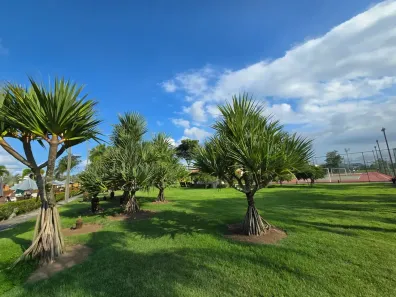 Lote/Terreno à venda, 610m² no Jacuhy, Serra