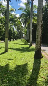 Lote/Terreno à venda, 1000m² no Aldeia dos Camarás, Camaragibe