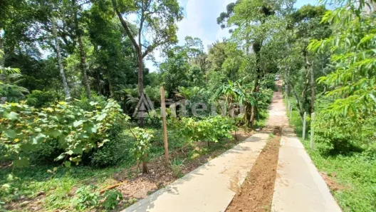 Lote/Terreno à venda, 60m² no Borda do Campo, São José dos Pinhais