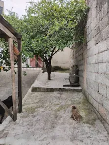 Casa com 3 Quartos à venda, 100m² no Jardim América, Várzea Paulista