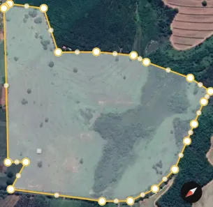 Fazenda/Sítio à venda, 399300m² no Centro, Palestina