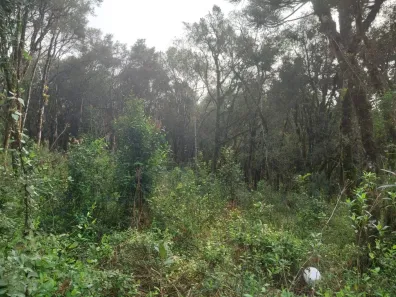 Lote/Terreno à venda, 450m² no Carniel, Gramado