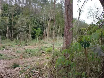 Fazenda/Sítio à venda, 2m² no Laranjeiras, Paraibuna