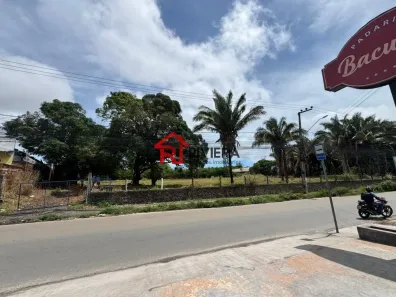 Lote/Terreno à venda, 10000m² no Turu, São Luís