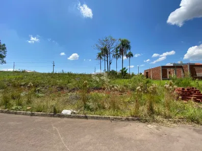 Lote/Terreno à venda, 341m² no João Alves, Santa Cruz do Sul