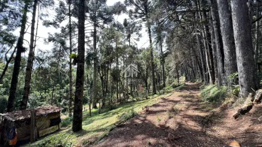 Lote/Terreno à venda, 3745m² no Vila Mathilde, Campos do Jordão