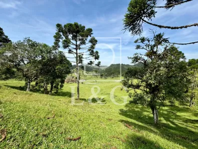 Fazenda/Sítio à venda, 40000m² no Laranjeiras, Campo Alegre