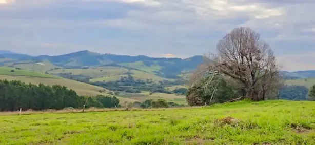 Lote/Terreno à venda, 1000m² no , Paraisópolis