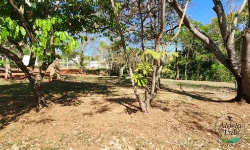 Lote/Terreno com 1 Quarto à venda, 3775m² no Residencial Aldeia do Vale, Goiânia