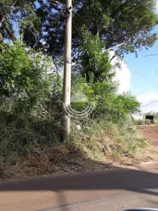 Lote/Terreno à venda, 5570m² no Jardim Ypê, Paulínia